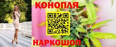 крисы Апрелевка
