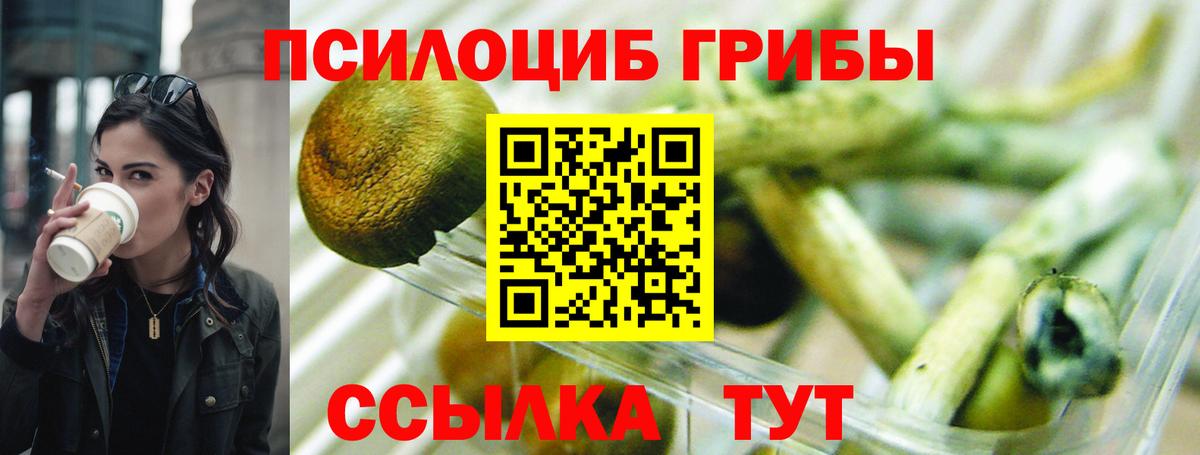 Галлюциногенные грибы Psilocybe  Вход с VPN  Воронеж 